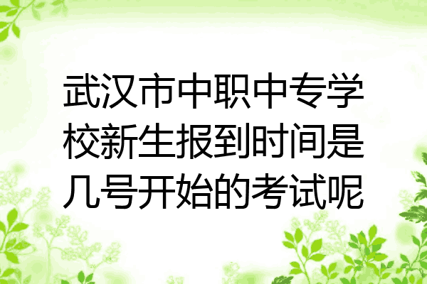 武汉市中职中专学校新生报到时间是几号开始的考试呢