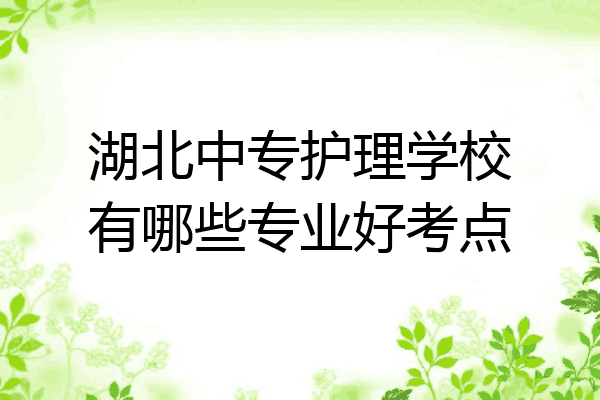 湖北中专护理学校有哪些专业好考点