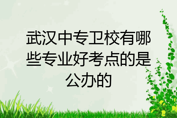 武汉中专卫校有哪些专业好考点的是公办的