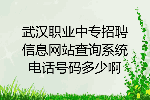 武汉职业中专招聘信息网站查询系统电话号码多少啊