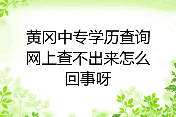 黄冈中专学历查询网上查不出来怎么回事呀
