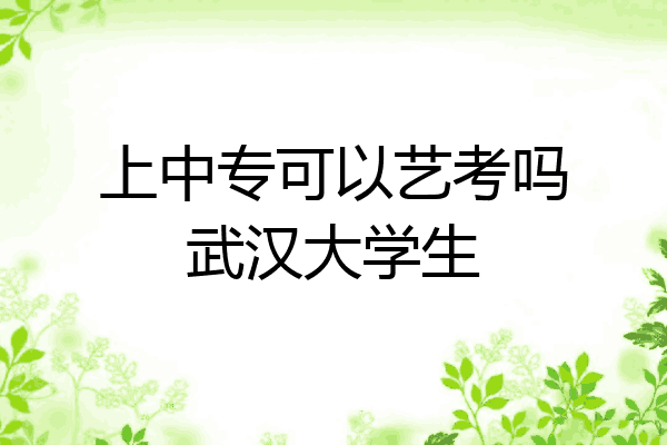 上中专可以艺考吗武汉大学生