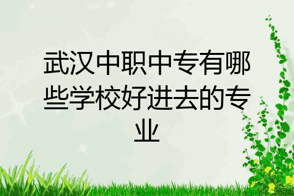 武汉中职中专有哪些学校好进去的专业
