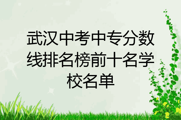 武汉中考中专分数线排名榜前十名学校名单