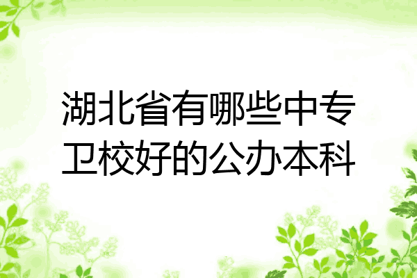 湖北省有哪些中专卫校好的公办本科
