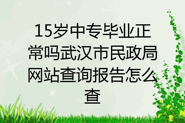 15岁中专毕业正常吗武汉市民政局网站查询报告怎么查