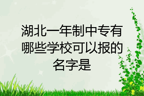 湖北一年制中专有哪些学校可以报的名字是
