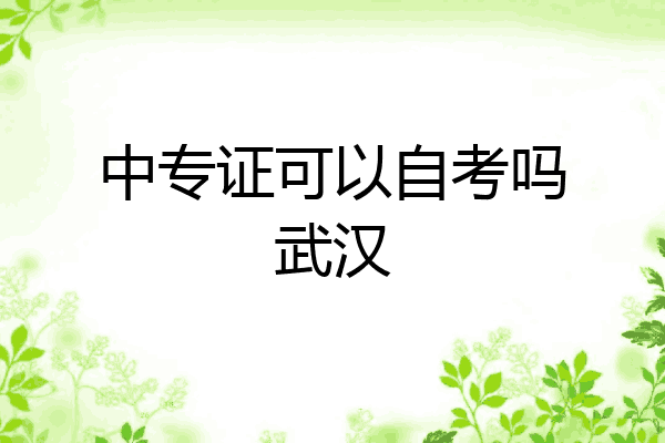 中专证可以自考吗武汉