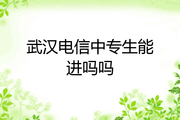 武汉电信中专生能进吗吗