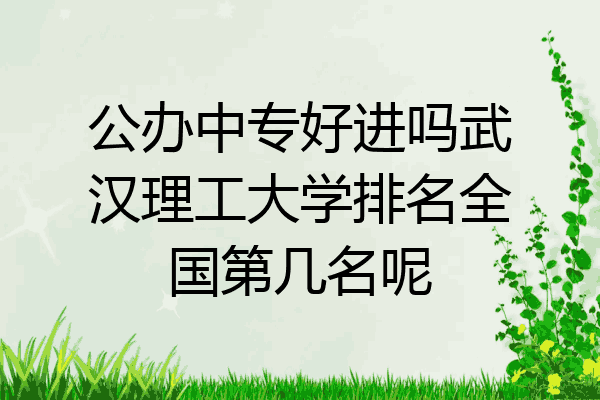 公办中专好进吗武汉理工大学排名全国第几名呢