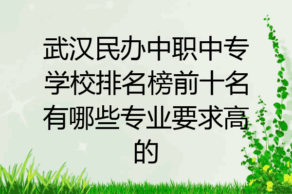武汉民办中职中专学校排名榜前十名有哪些专业要求高的