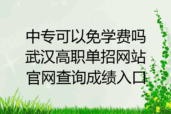 中专可以免学费吗武汉高职单招网站官网查询成绩入口
