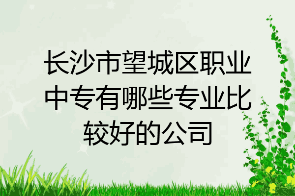 长沙市望城区职业中专有哪些专业比较好的公司