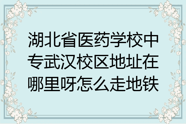 湖北省医药学校中专武汉校区地址在哪里呀怎么走地铁