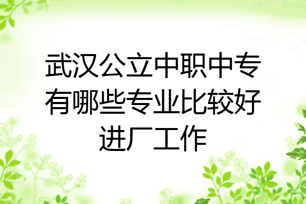 武汉公立中职中专有哪些专业比较好进厂工作
