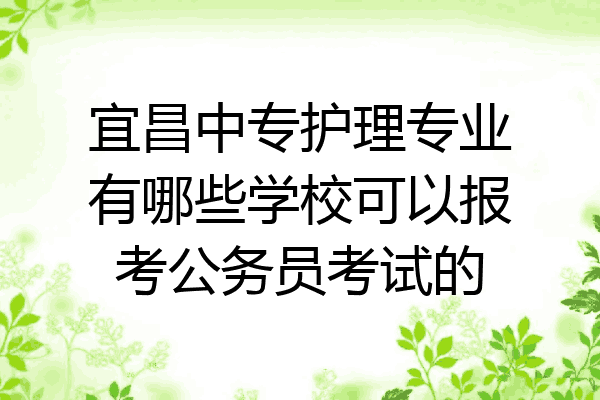 宜昌中专护理专业有哪些学校可以报考公务员考试的