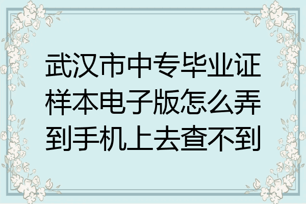武汉市中专毕业证样本电子版怎么弄到手机上去查不到