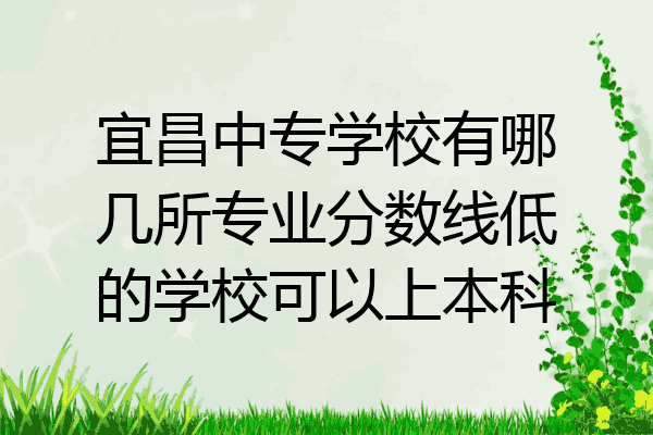 宜昌中专学校有哪几所专业分数线低的学校可以上本科