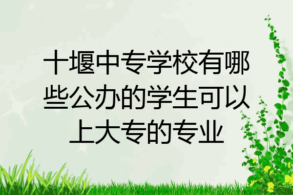 十堰中专学校有哪些公办的学生可以上大专的专业