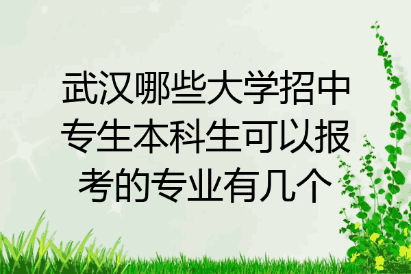 武汉哪些大学招中专生本科生可以报考的专业有几个