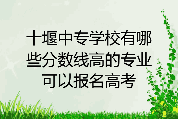 十堰中专学校有哪些分数线高的专业可以报名高考