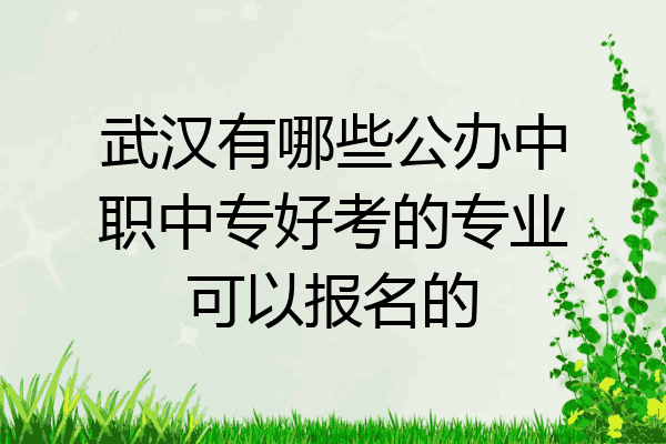 武汉有哪些公办中职中专好考的专业可以报名的