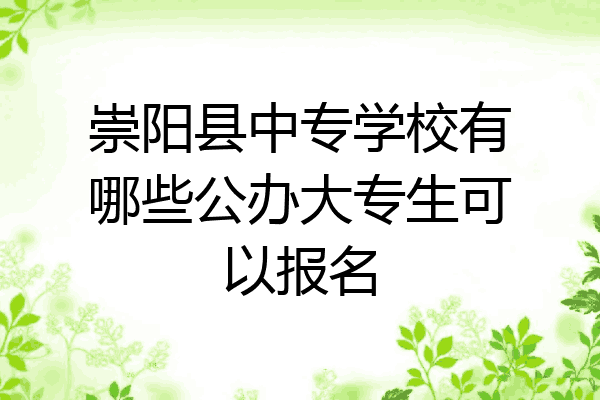崇阳县中专学校有哪些公办大专生可以报名