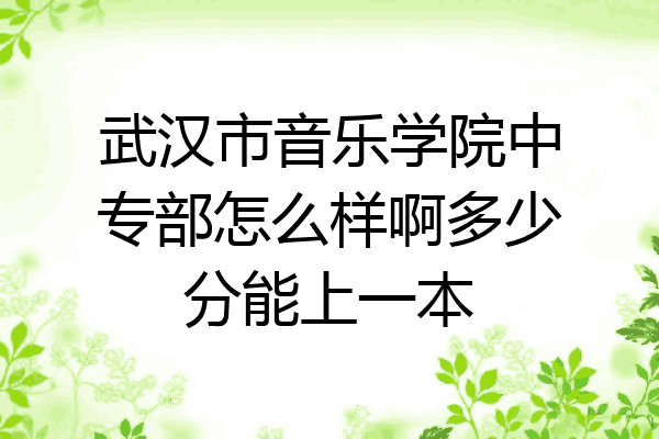 武汉市音乐学院中专部怎么样啊多少分能上一本