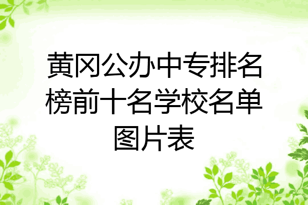 黄冈公办中专排名榜前十名学校名单图片表