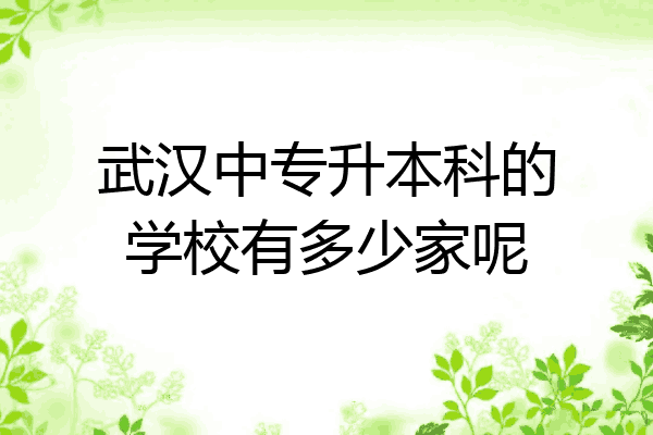 武汉中专升本科的学校有多少家呢
