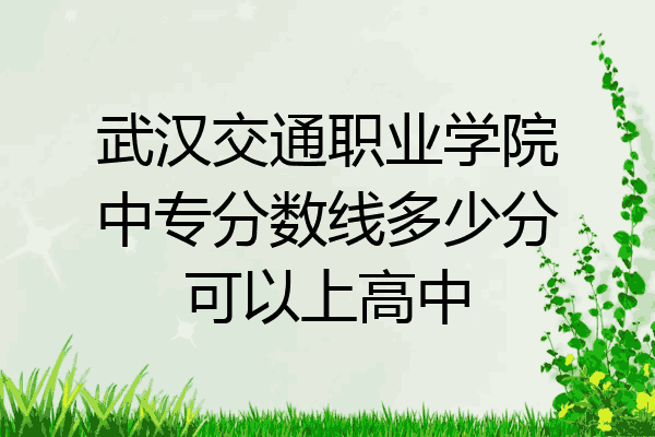 武汉交通职业学院中专分数线多少分可以上高中