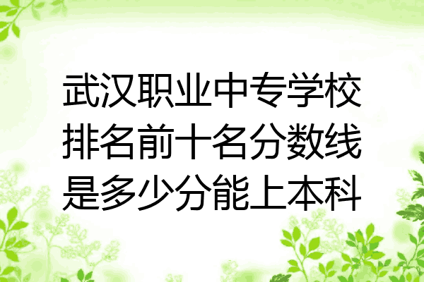 武汉职业中专学校排名前十名分数线是多少分能上本科