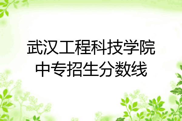 武汉工程科技学院中专招生分数线