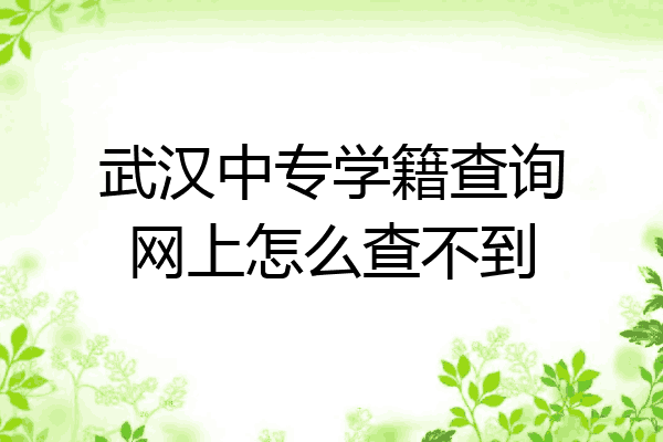 武汉中专学籍查询网上怎么查不到