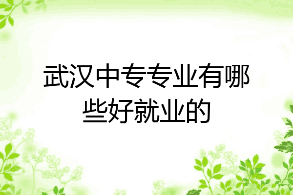 武汉中专专业有哪些好就业的