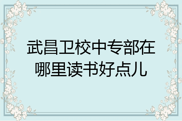 武昌卫校中专部在哪里读书好点儿