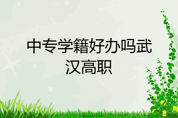 中专学籍好办吗武汉高职