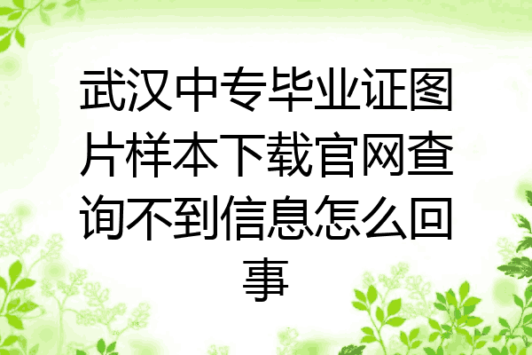 武汉中专毕业证图片样本下载官网查询不到信息怎么回事