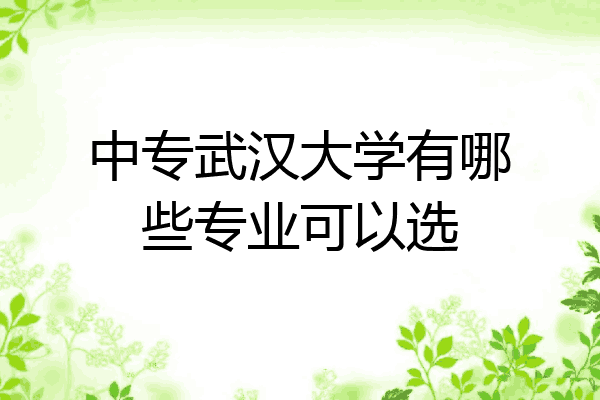 中专武汉大学有哪些专业可以选