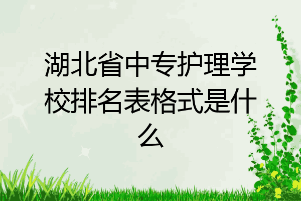 湖北省中专护理学校排名表格式是什么