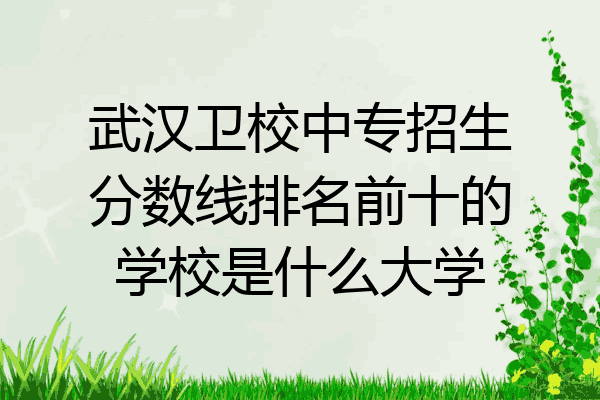 武汉卫校中专招生分数线排名前十的学校是什么大学
