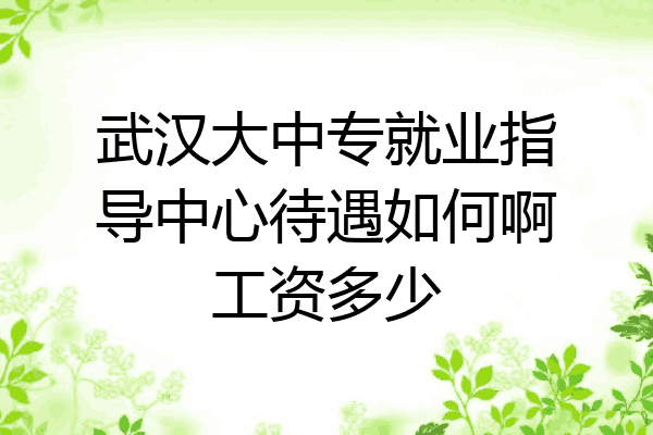 武汉大中专就业指导中心待遇如何啊工资多少