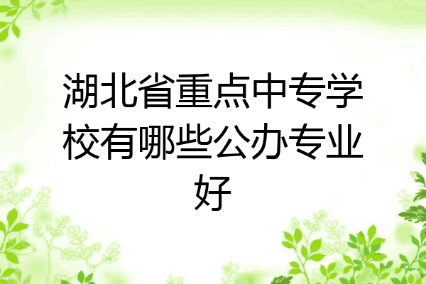 湖北省重点中专学校有哪些公办专业好