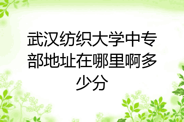 武汉纺织大学中专部地址在哪里啊多少分