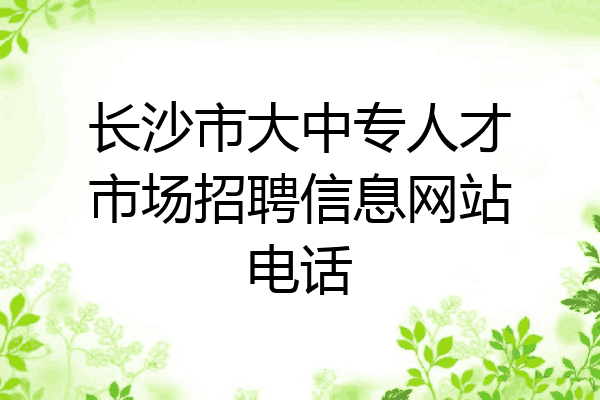 长沙市大中专人才市场招聘信息网站电话