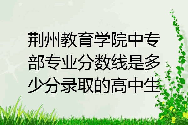荆州教育学院中专部专业分数线是多少分录取的高中生