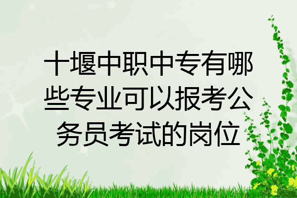 十堰中职中专有哪些专业可以报考公务员考试的岗位