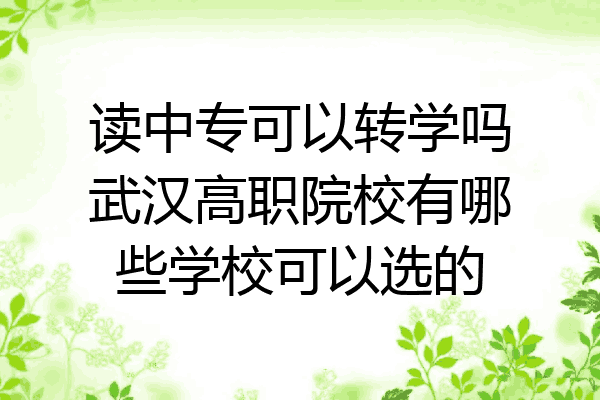 读中专可以转学吗武汉高职院校有哪些学校可以选的