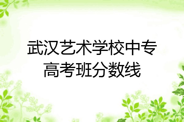 武汉艺术学校中专高考班分数线