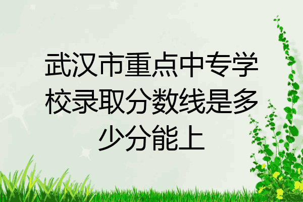 武汉市重点中专学校录取分数线是多少分能上